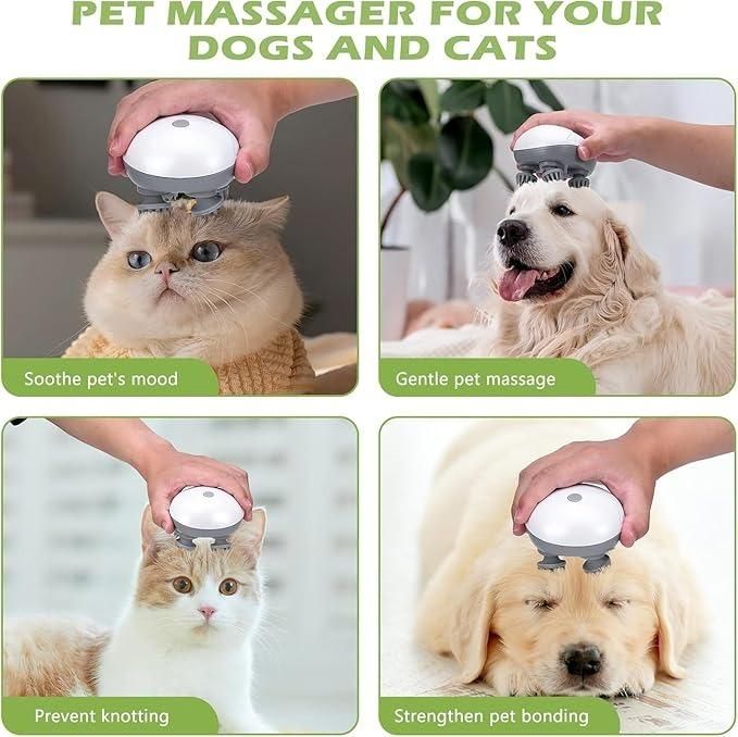Scalp Massager