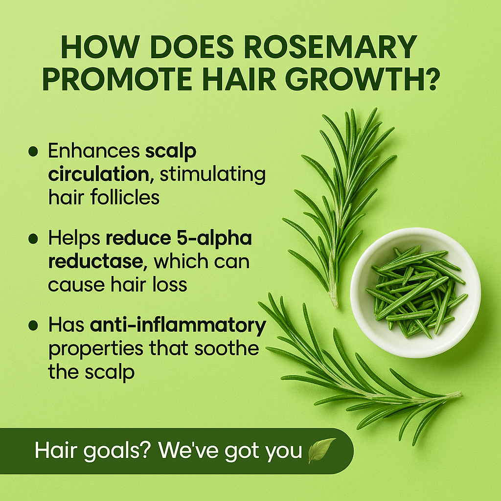 Rosemary Hair Spray – Limited Time Triple Pack!